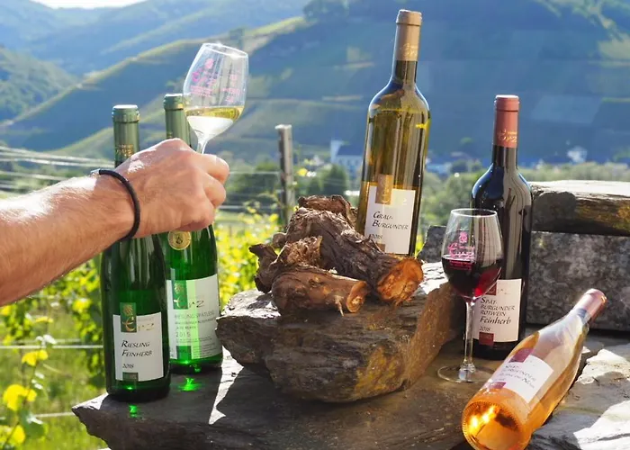Weingut & Gaestehaus Andreas Erz