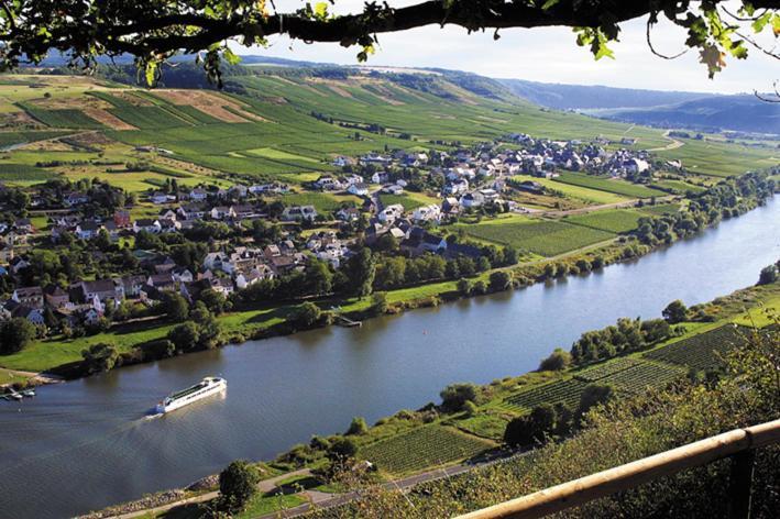 Weingut&gastehaus Andreas Erz