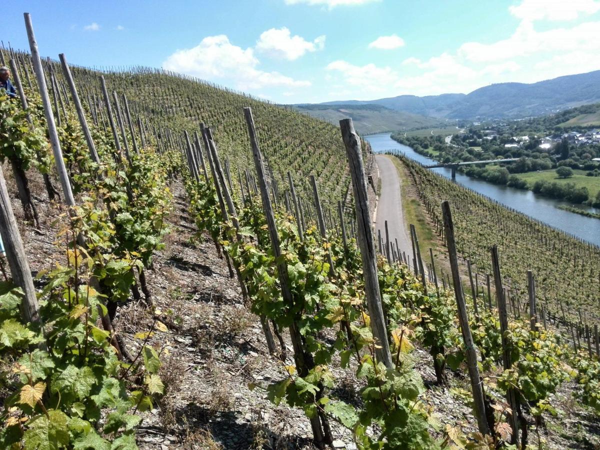 Weingut&gastehaus Andreas Erz Apartment Brauneberg