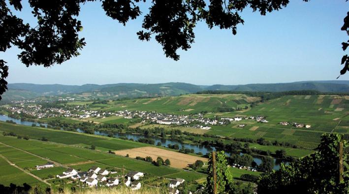 Weingut&gastehaus Andreas Erz Brauneberg