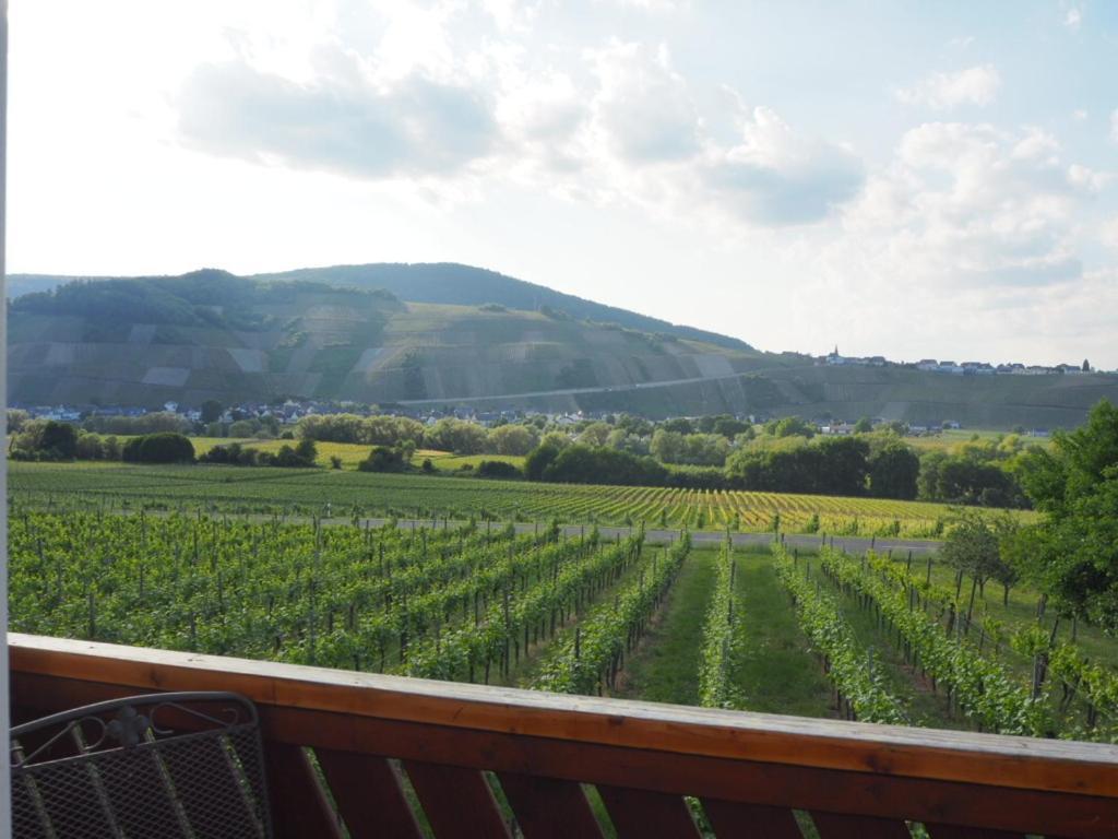 Weingut & Gaestehaus Andreas Erz Apartament *