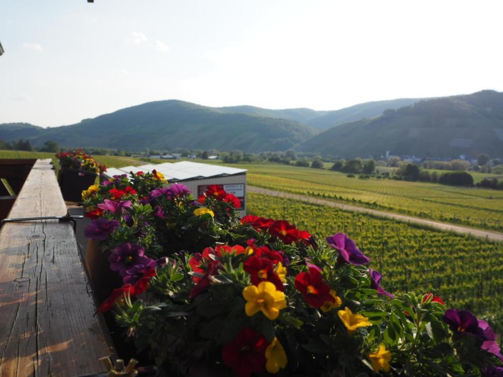 Weingut&gastehaus Andreas Erz * Brauneberg