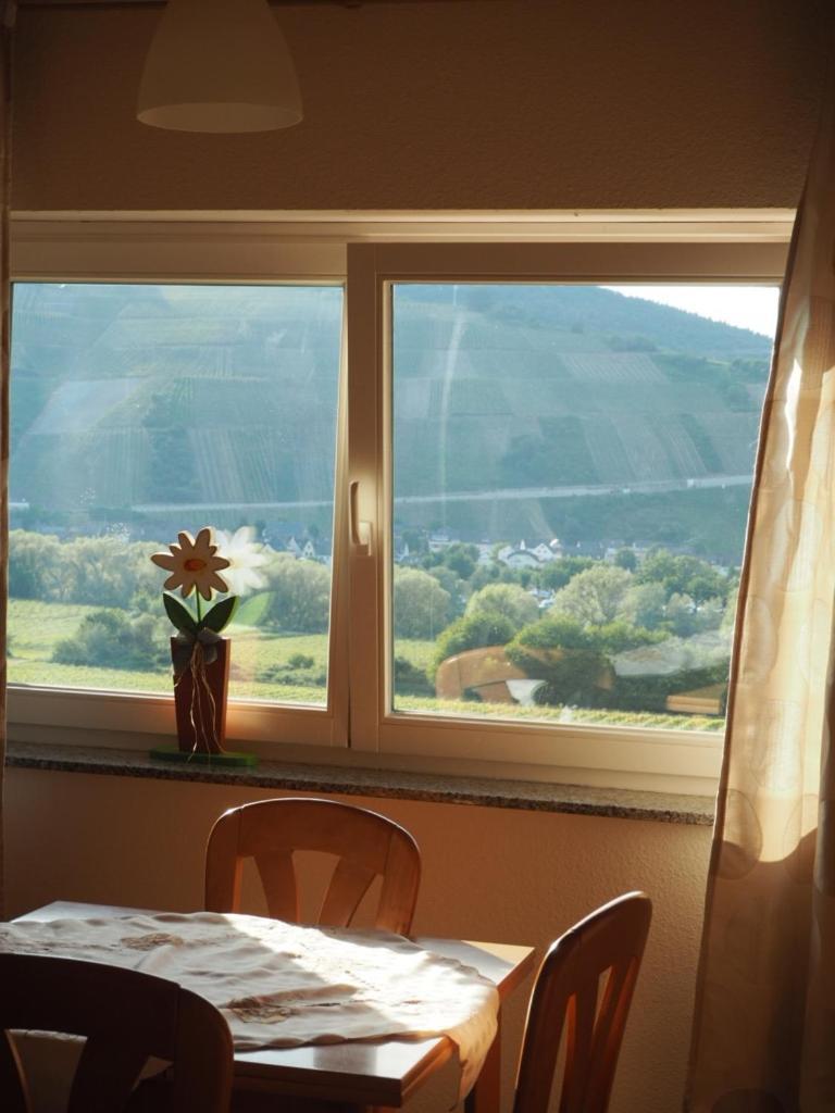 Weingut & Gaestehaus Andreas Erz Apartament