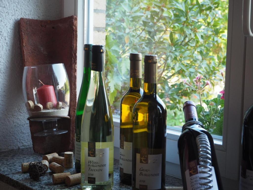 Apartment Weingut&gastehaus Andreas Erz