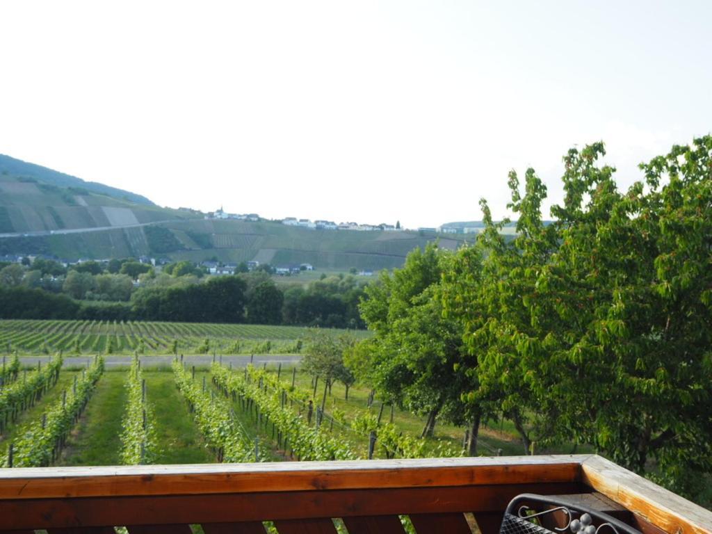 Apartament Weingut & Gaestehaus Andreas Erz Brauneberg