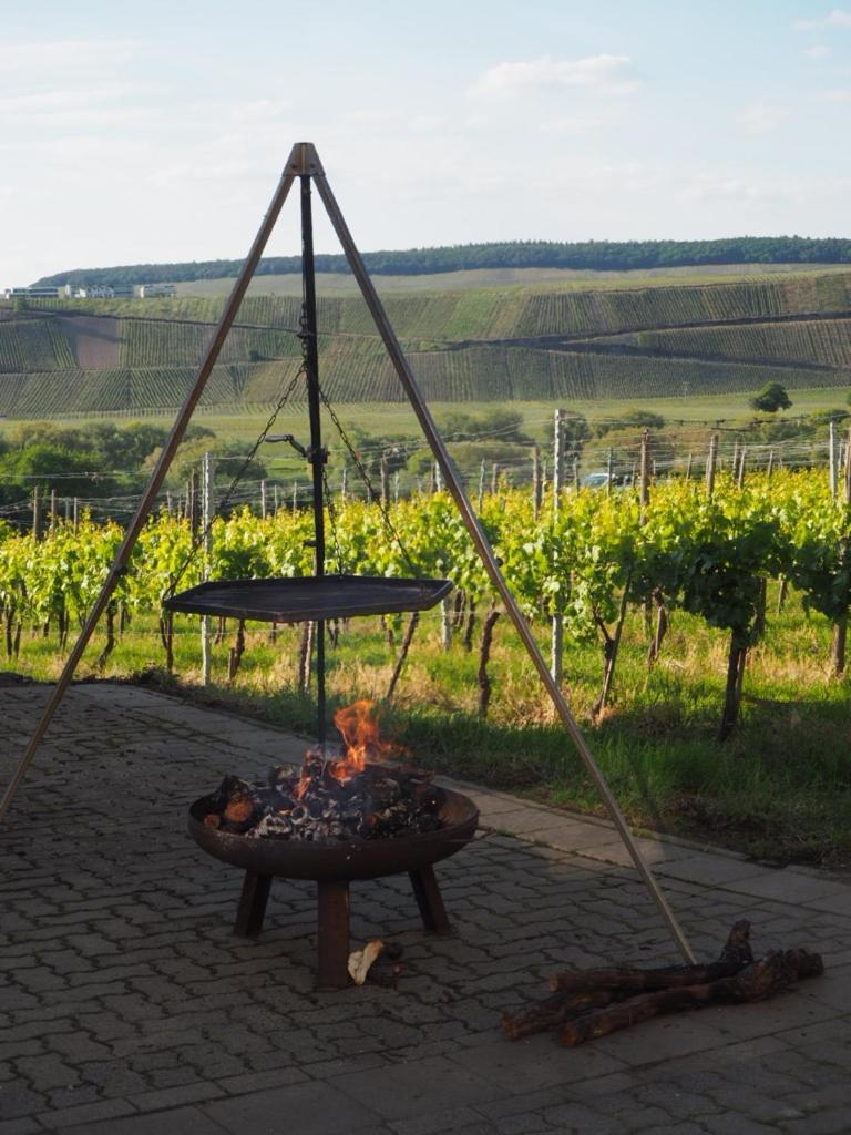 Weingut&gastehaus Andreas Erz *