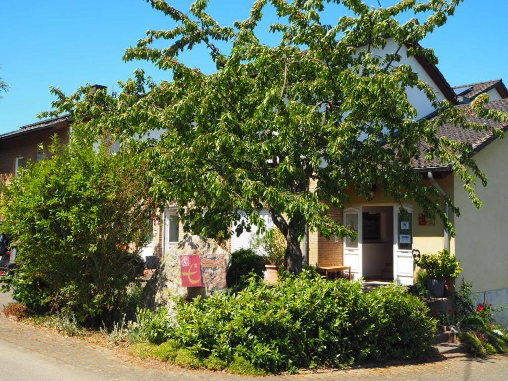 Weingut&gastehaus Andreas Erz * Brauneberg