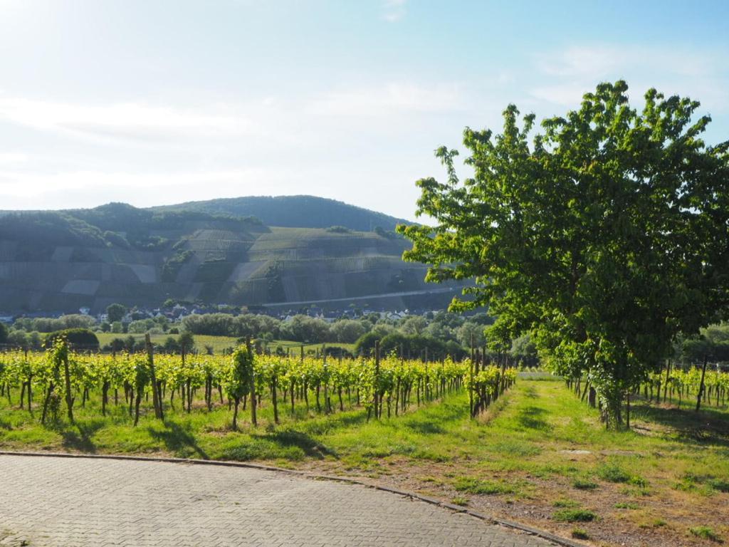 Apartment Weingut&gastehaus Andreas Erz