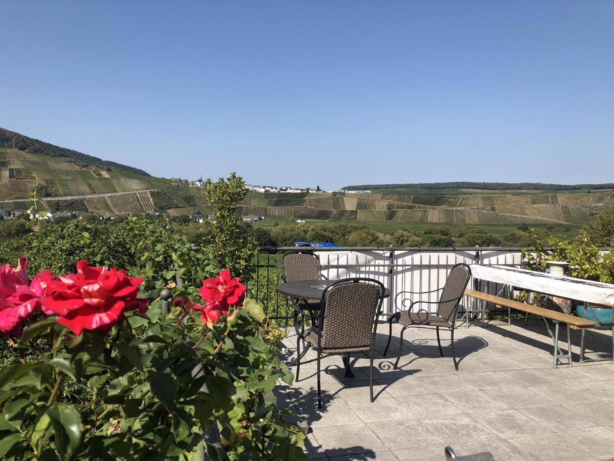 Weingut & Gaestehaus Andreas Erz Apartament