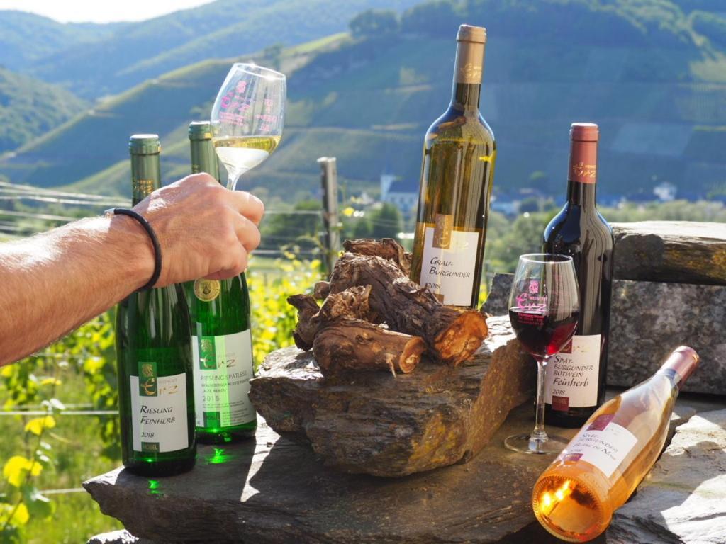 Weingut & Gaestehaus Andreas Erz Apartament